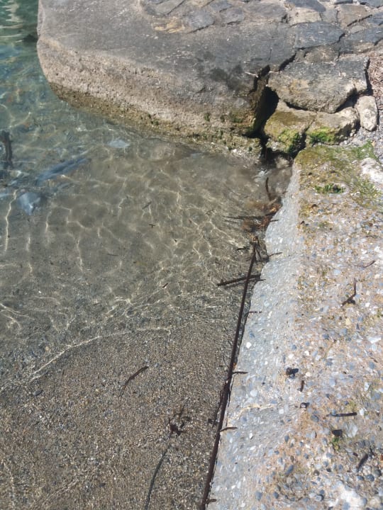 Strand Ladonia Hotels Adakule