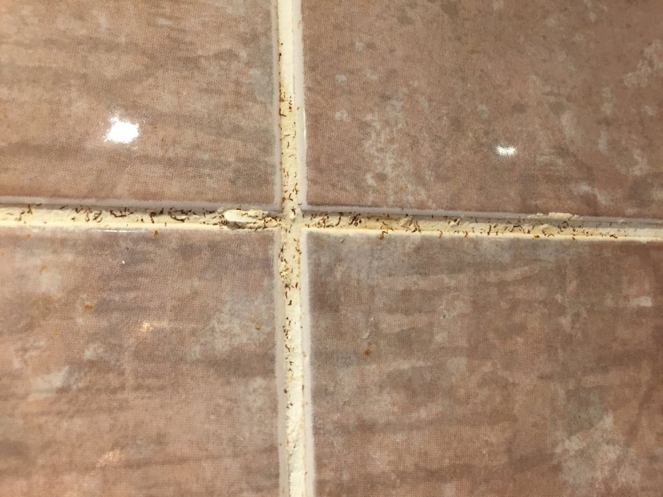 Zimmer Sandy Beach Resort