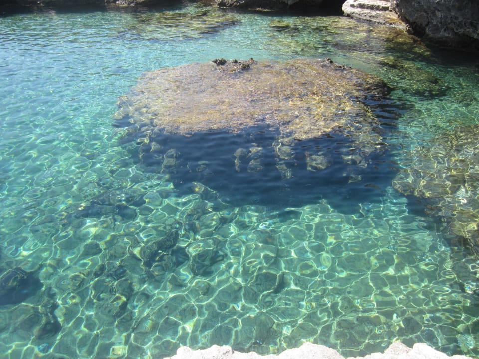 Strand Hotel Kalithea Horizon Royal