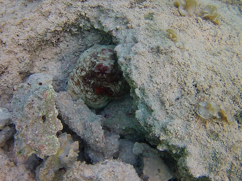 Strand Three Corners Sea Beach Resort