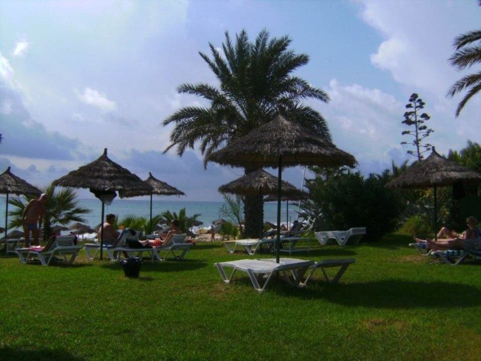 Teil des Gartens zwischen Pool und Strand TUI BLUE Palm Beach Hammamet