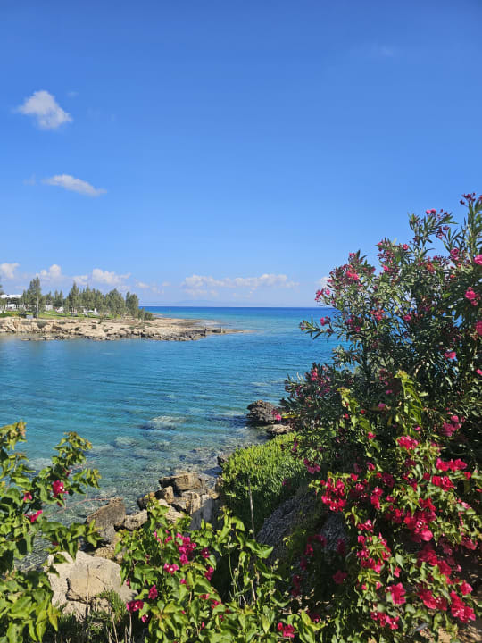 Strand Crystal Springs Beach Hotel