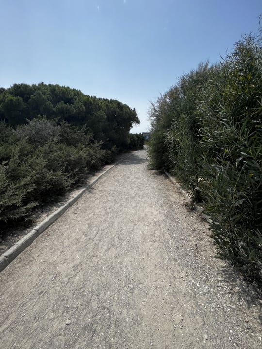 Sonstiges Hipotels Barrosa Garden