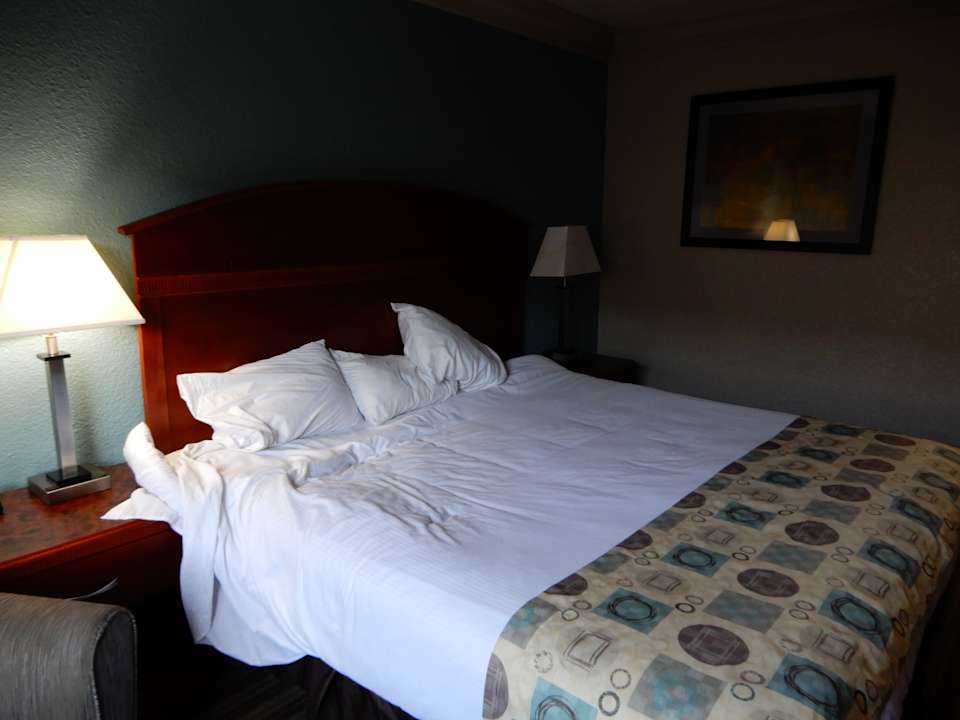 Zimmer Hotel Ramada Limited Intercontinental Airport South