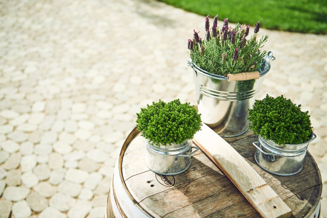 Gartenanlage ALTE LINDE Landhotel und Restaurant