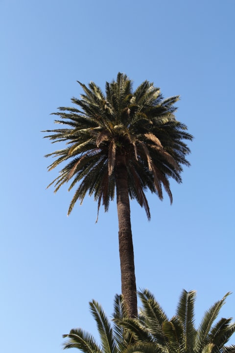 Ausblick Europa Hotel Design Spa 1877