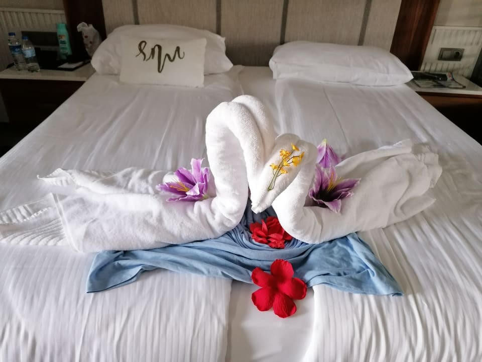 Zimmer Seaden Quality Resort & Spa