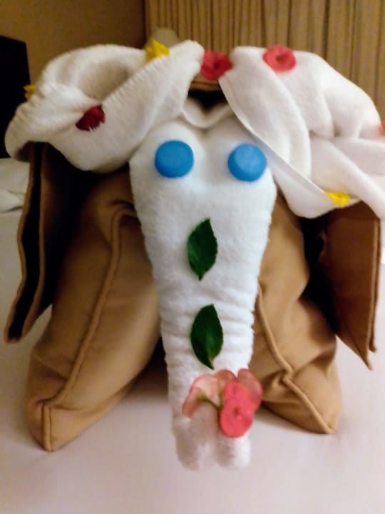 Zimmer Jaz Dar EL Madina