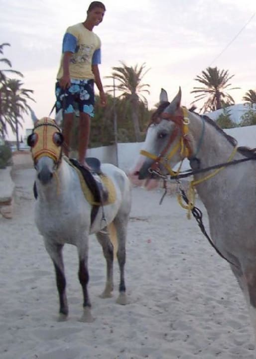 Reiterspiele Zita Beach Resort