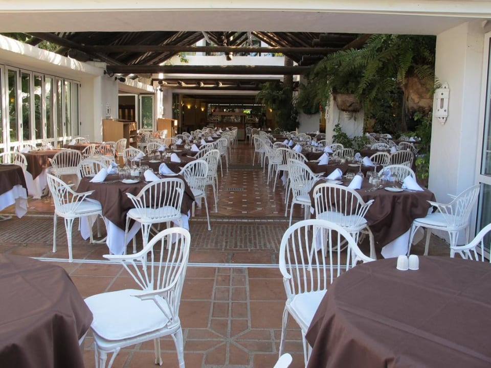 Las Mimosas Dreams Jardín Tropical