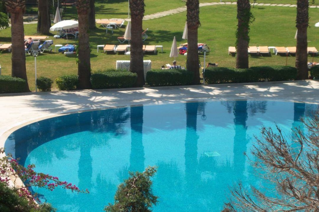 Pool  Asteria Collection Side