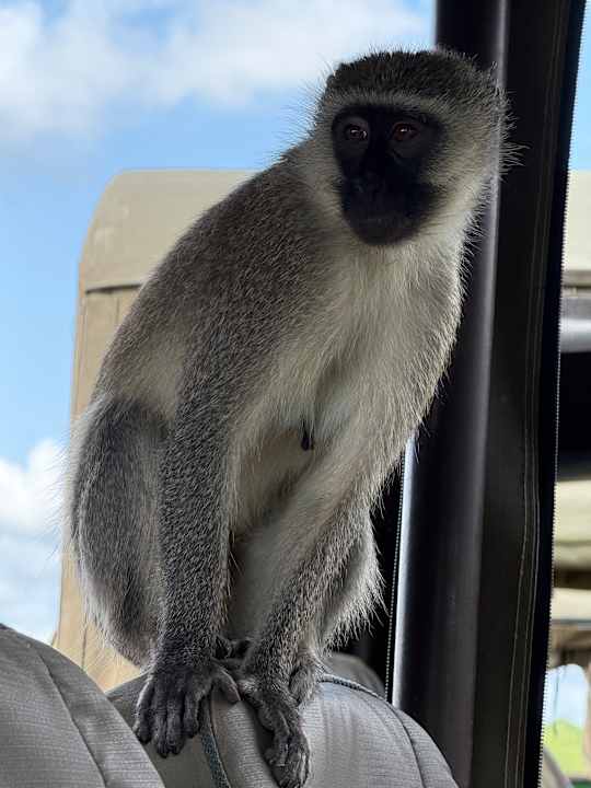 Sport & Freizeit TUI Blue Bahari Zanzibar