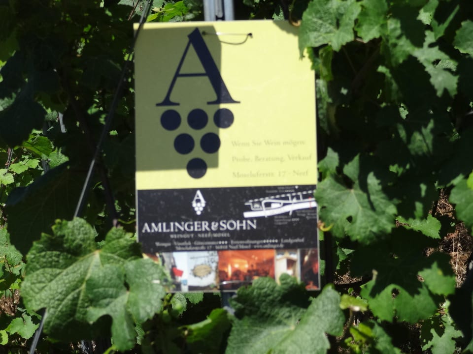 Im Weinberg Hotel Weingut Amlinger&Sohn