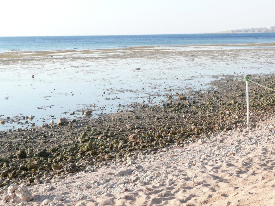 Blick bei Ebbe aufs Riff Makadi Palace