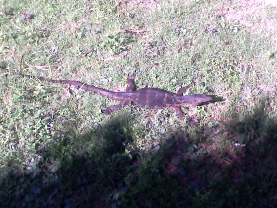 Sonstiges Khaolak Laguna Resort