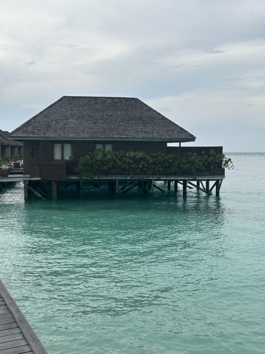 Zimmer Meeru Maldives Resort Island