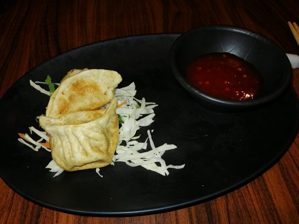 Gastro PALOMA Perissia