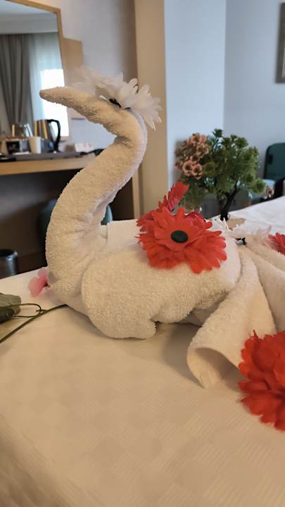 Zimmer Saphir Resort & Spa