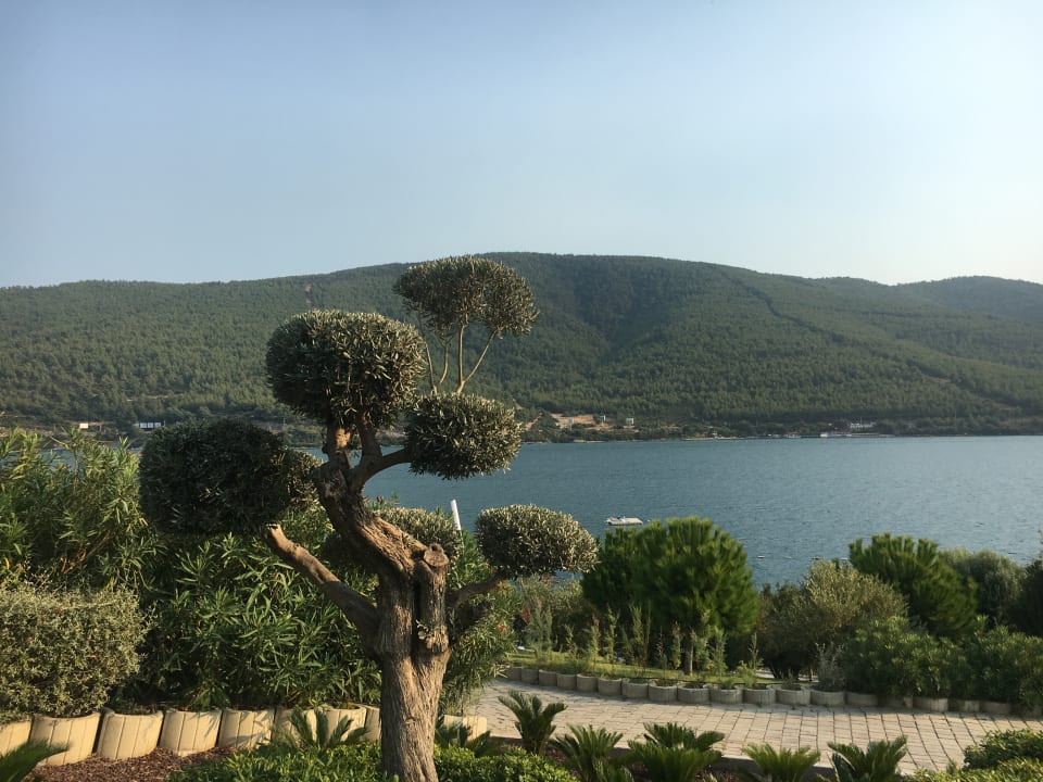 Ausblick La Blanche Island Bodrum