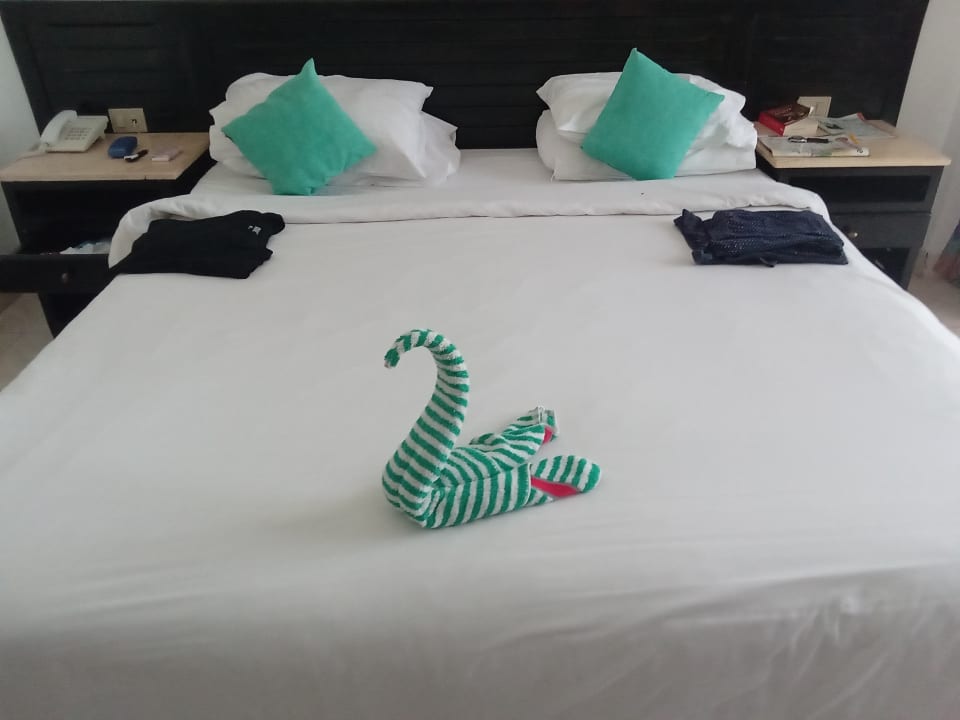 Zimmer JAZ Palmariva Beach