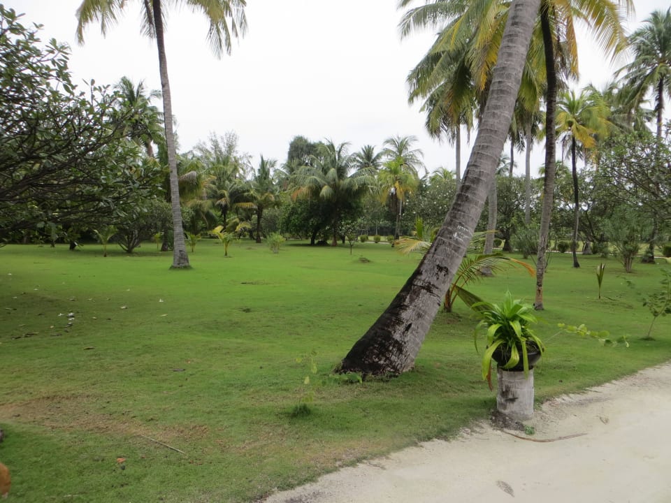 Teil der Gartenanlage Adaaran Select Hudhuran Fushi - Premium All Inclusive