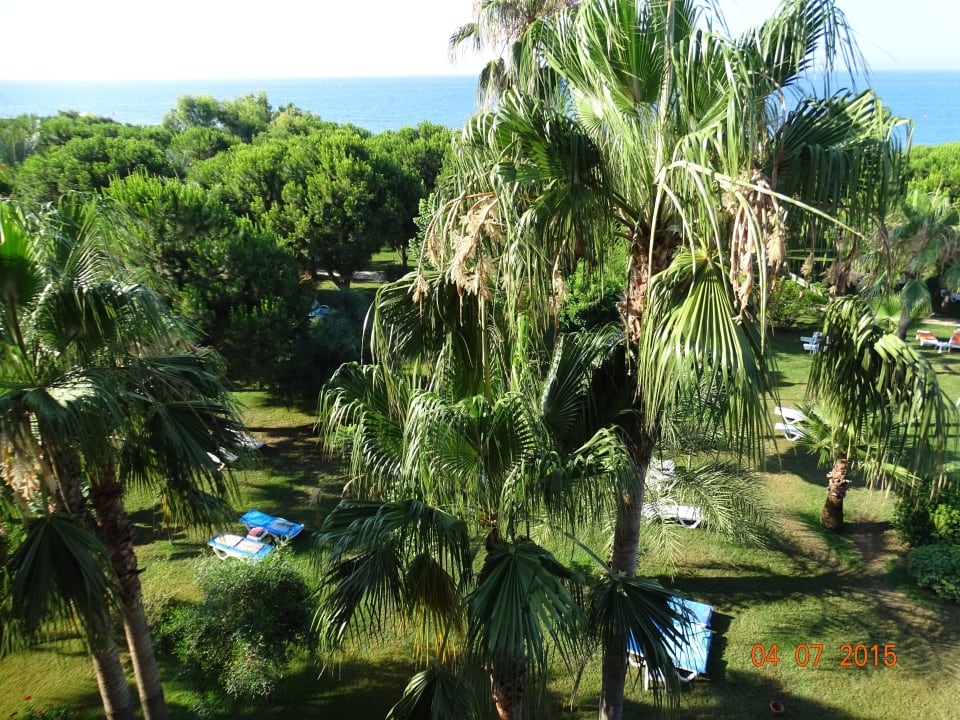 Parkanlage Club Turtas Beach Hotel