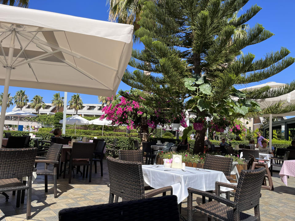 Gastro TUI MAGIC LIFE Jacaranda