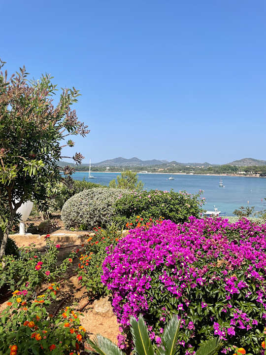 Gartenanlage Hipotels Eurotel Punta Rotja Golf & Spa