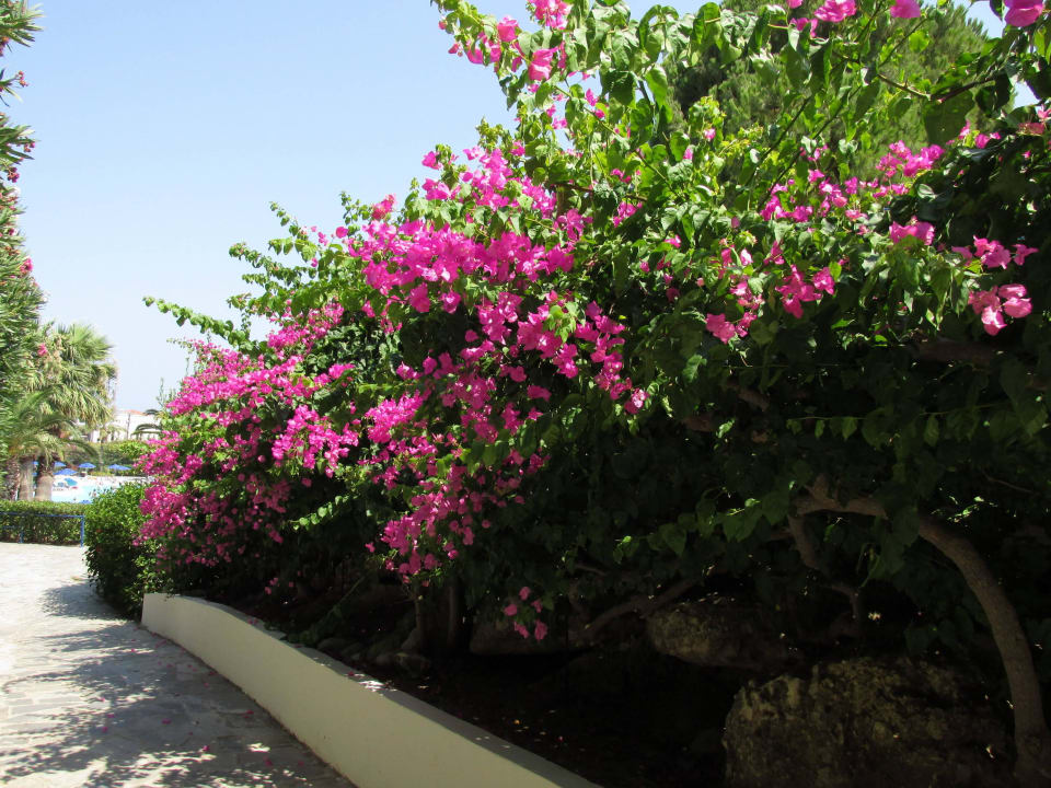 Weg zum Pool u Strand Kresten Palace Hotel
