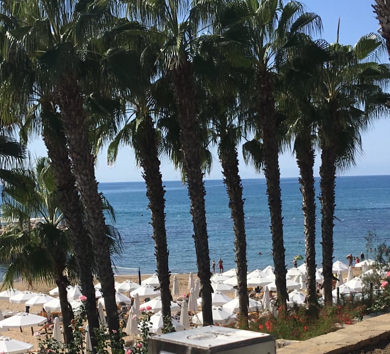 Strand Arum Barut Collection