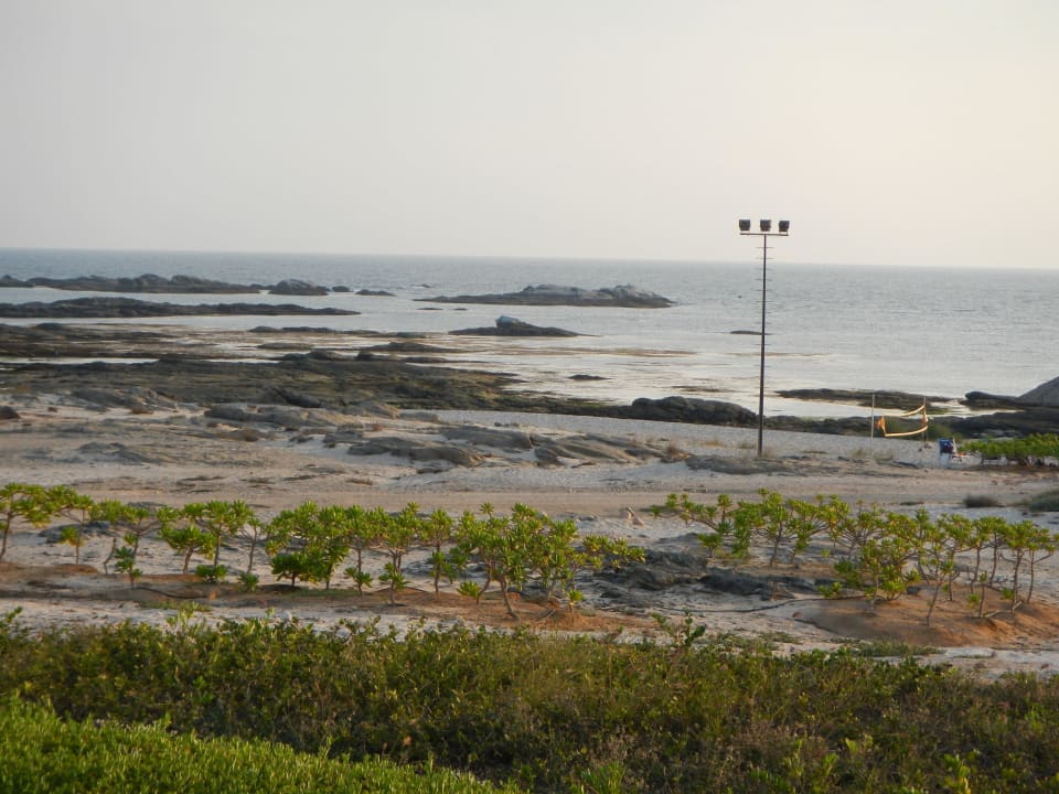 Blick vom Pool zum Strand bei Ebbe Wyndham Garden Salalah Mirbat
