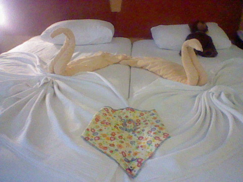 Mit Liebe zum Detail Limak Limra Hotel & Resort