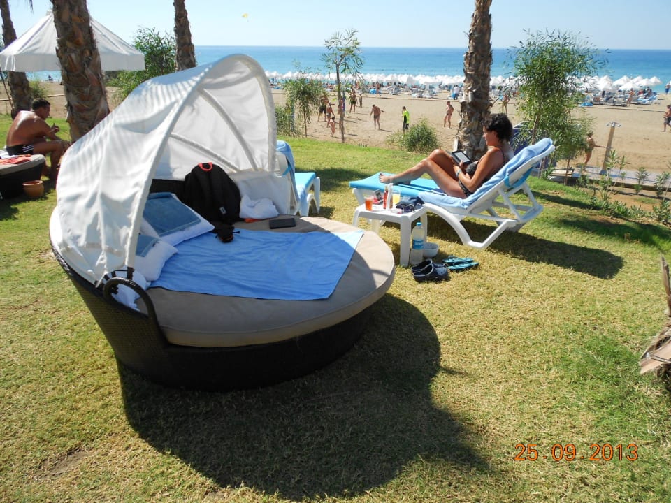 Strandmuschel - schön Sultan of Dreams Hotel & Spa