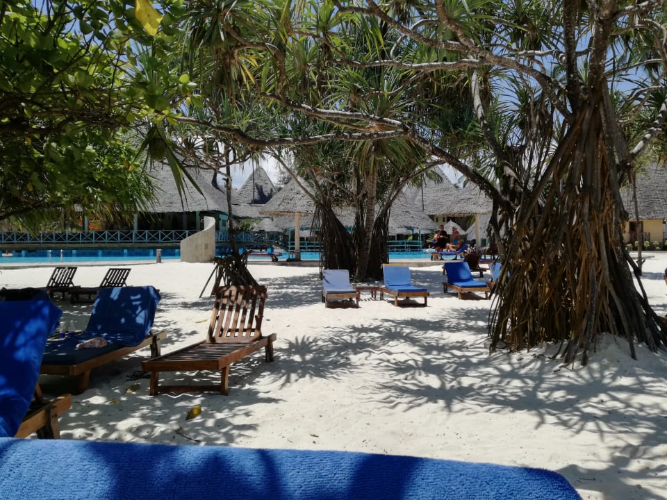 Pool Neptune Pwani Beach Resort & Spa