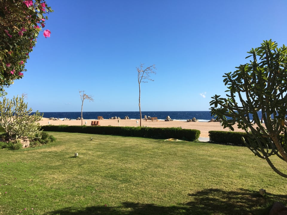 Ausblick TUI MAGIC LIFE Kalawy