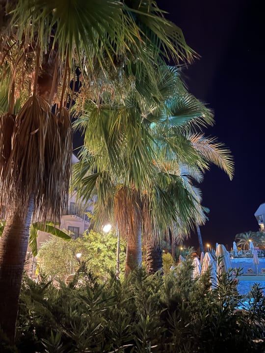 Ausblick Hotel Novum Garden Side