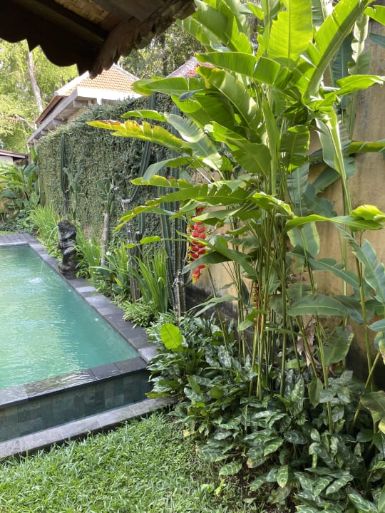 Gartenanlage Guesthouse Puri Tupai