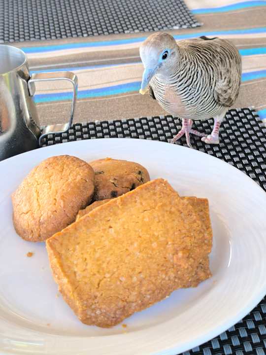 Gastro The Coco de Mer Hotel & Black Parrot Suites