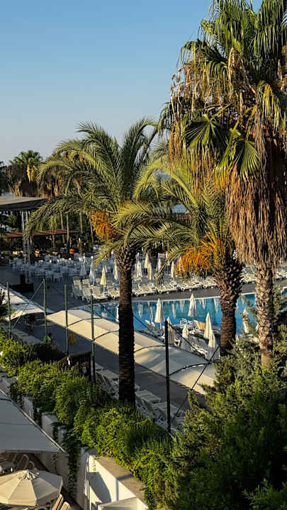 Pool Belek Beach Resort Hotel