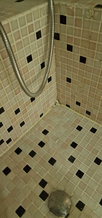 Zimmer Makadi Spa - Adults only