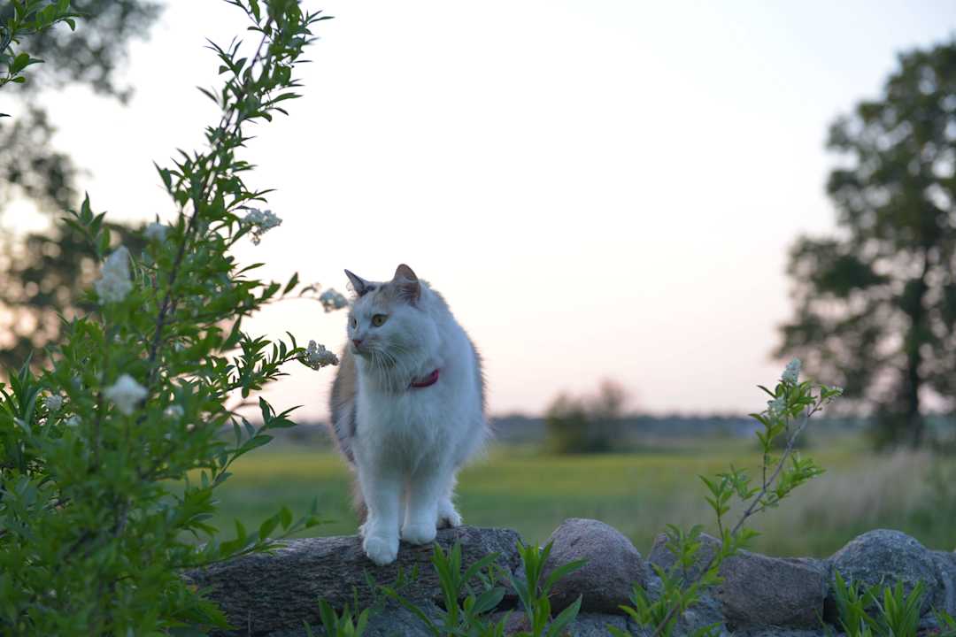 Agatka pozuje do zdjęcia Dwór Stanica Rzeczna Łabędzie