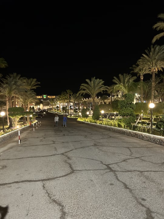 Gartenanlage Arabia Azur Resort