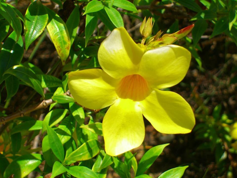 Hotel Grand Palladium Bavaro Resort & Spa Grand Palladium Select Bávaro Resort & Spa