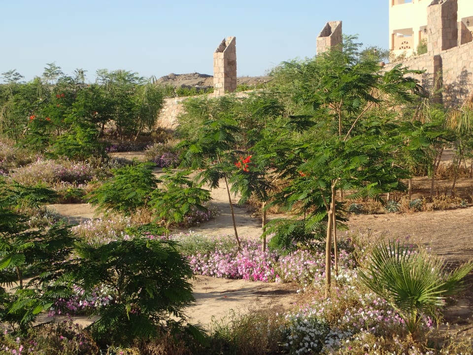 Gartenanlage Three Corners Equinox Beach Resort