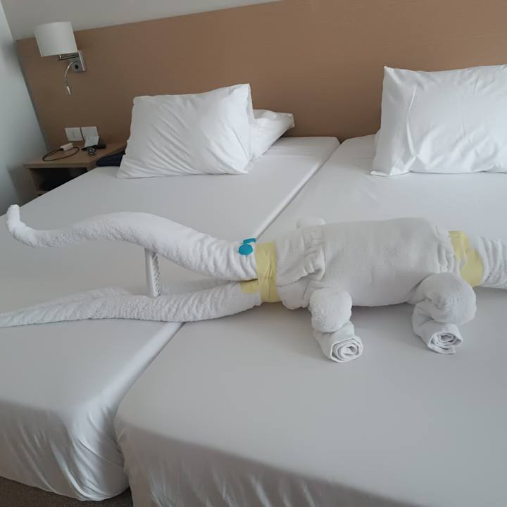 Zimmer JAZ Elite Asteria