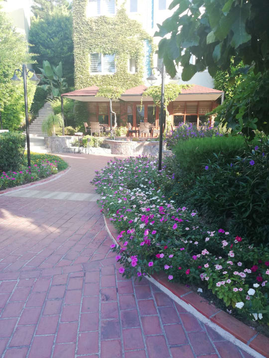 Gartenanlage Hotel Gardenia Beach