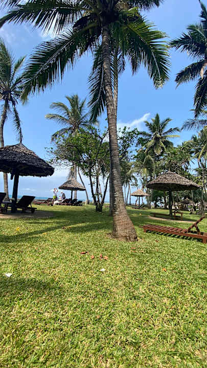 Gartenanlage Neptune Paradise Beach Resort & Spa