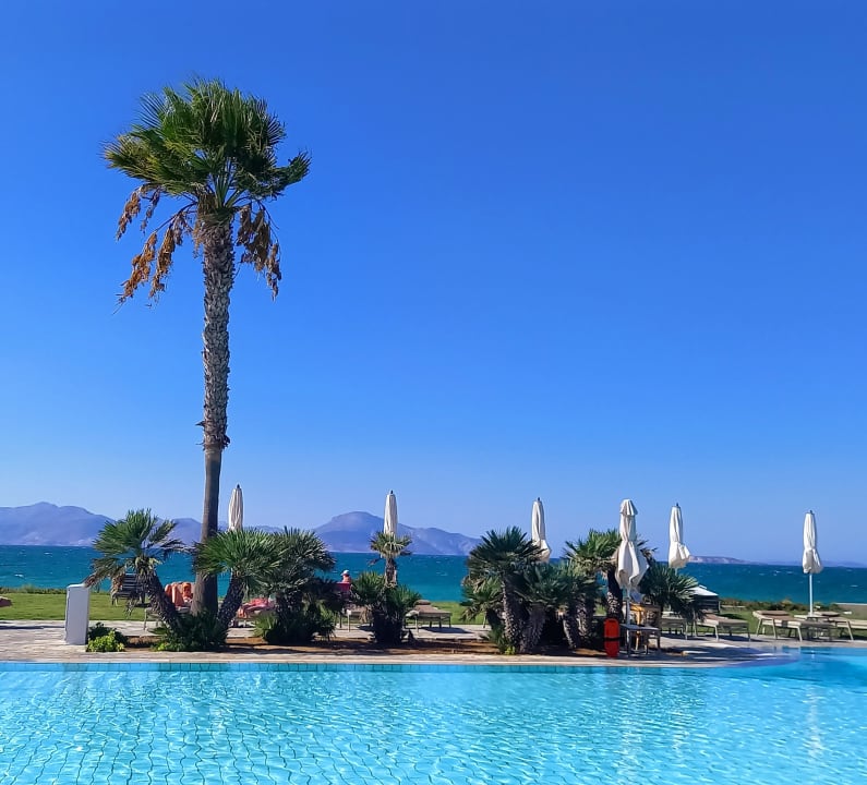 Pool Neptune Luxury Resort