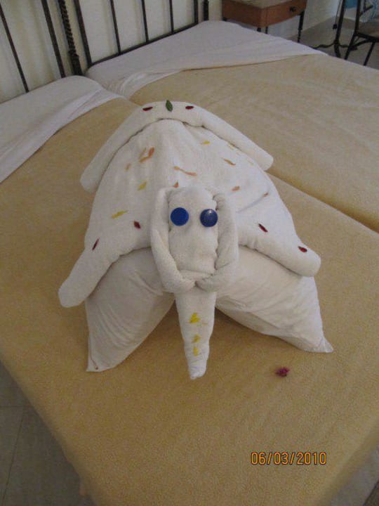 Täglich etwas neues Bella Vista Resort Hurghada