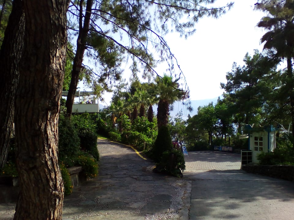 Gartenanlage Labranda Mares Marmaris